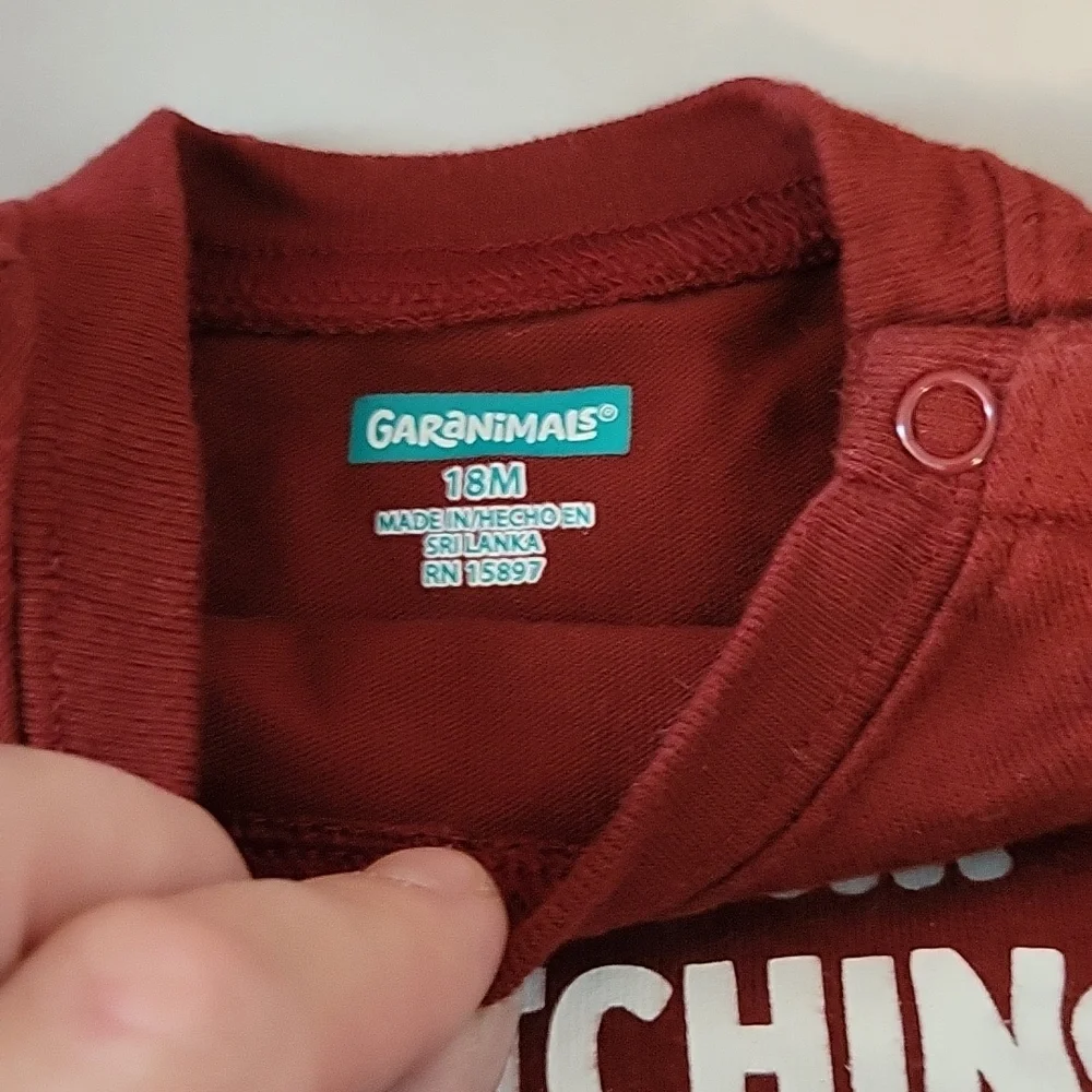 3 Garanimals Long Sleeve Onesies
